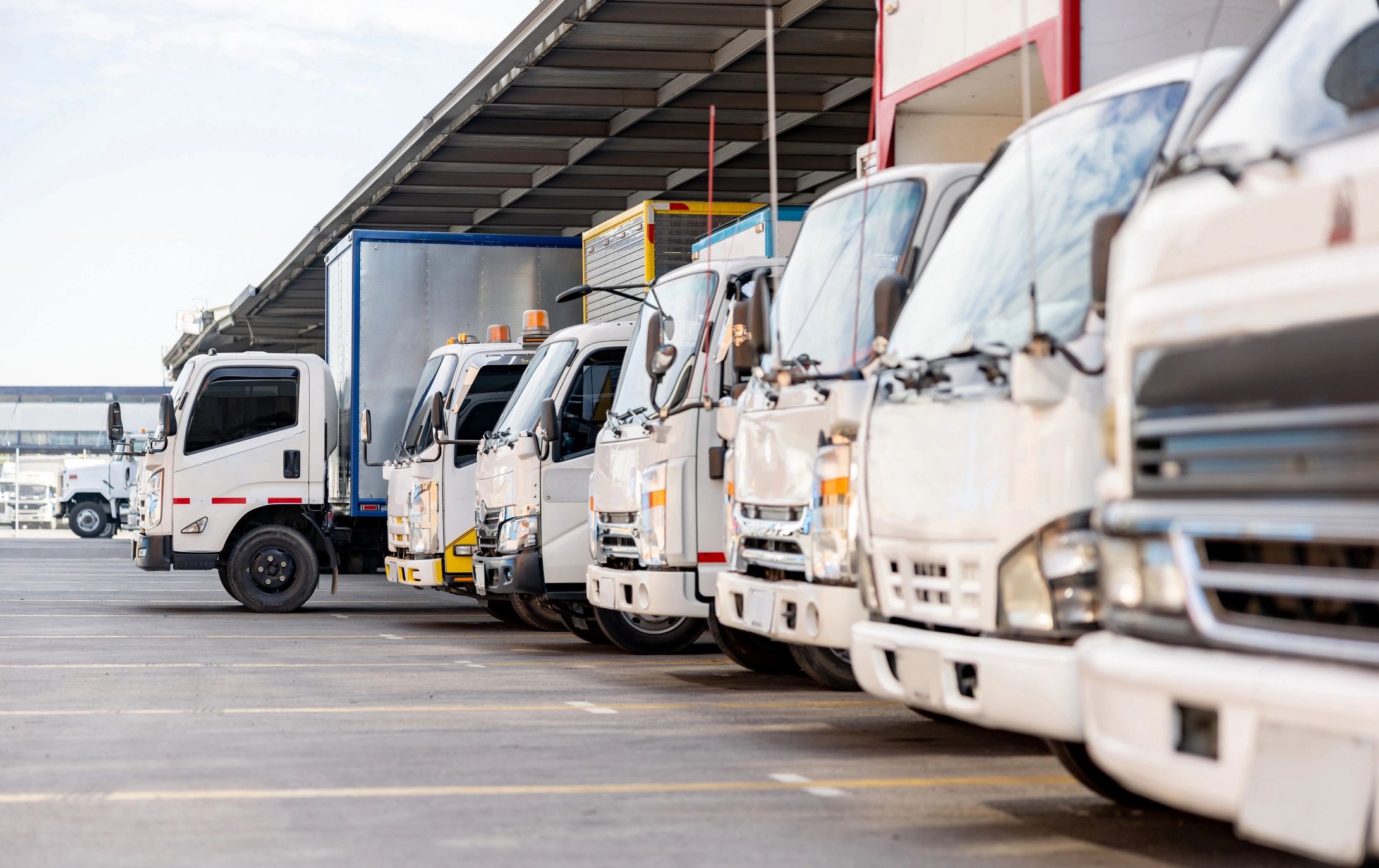delivery vans logistics fleet